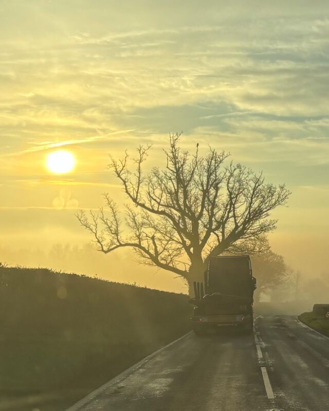 Good morning s